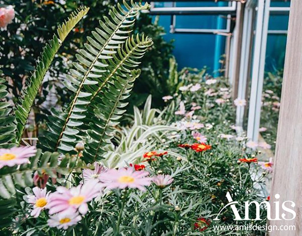 THI CÔNG NHÀ HÀNG 250M2 - ĐÀ LẠT